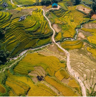 Vietnam Mountain Marathon 2022 -Race along Sapaa’s golden terraces